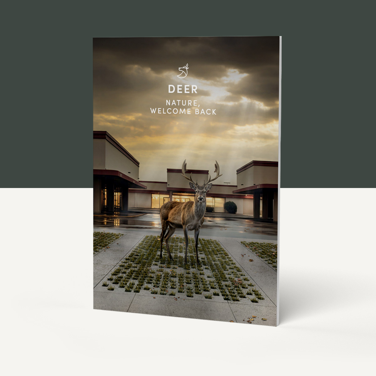 Permeable grass pavers with organic shapes for creative outdoor spaces